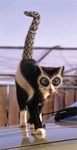 Tu as de beau yeux tu sais !!! lol lol !!!