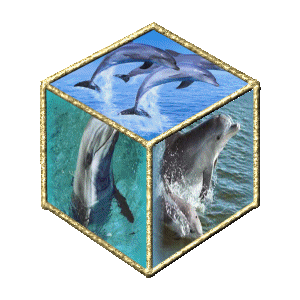 joli cube vous ne trouvez pas !