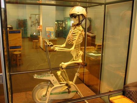  voila ce qui arrive lorsqu'on veut maigrir !!!!!!!!!!!!!!!!