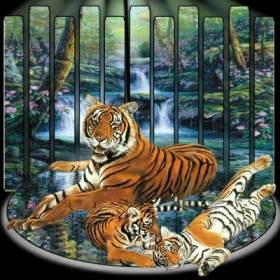 Trop beau !!! extra mimi !!! 