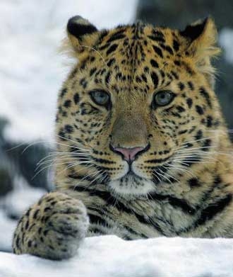 yahhoouuuu trop m�ga super beau et mimi comme tout