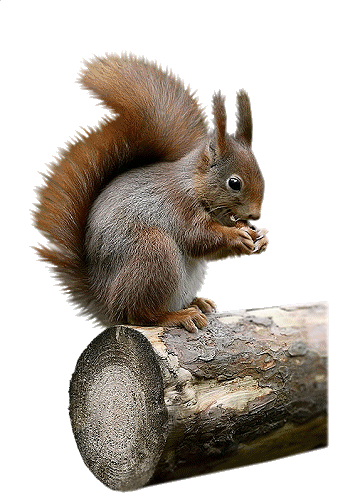 humm que s'est bon de manger