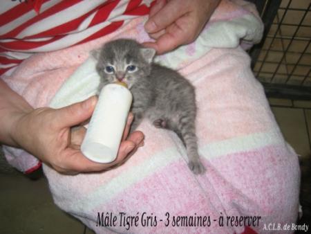 Qu'il est mimi n'estce pas !! lol