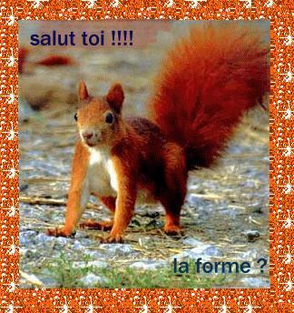 Cadeau de mon amie belli 