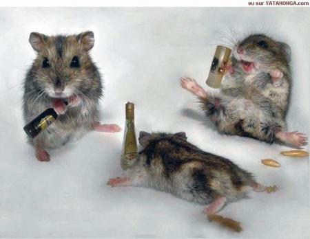 Et il faut pas trop boire mes petites souris !!!