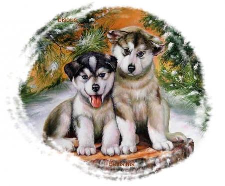 CADEAU de mon amie veronika !! (belli)