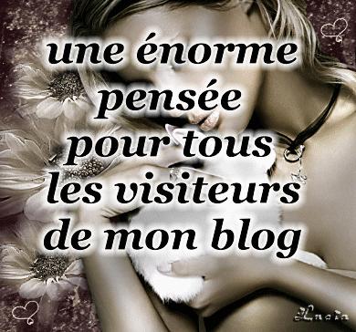 Je vous adore mes visiteur de vip !!! 