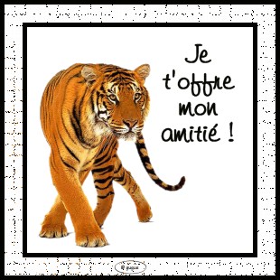 AMITIER POUR MES AMI(E)S DE VIP